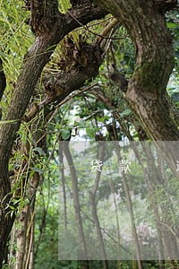 贷款 逾期保证金 贷款 逾期保证金